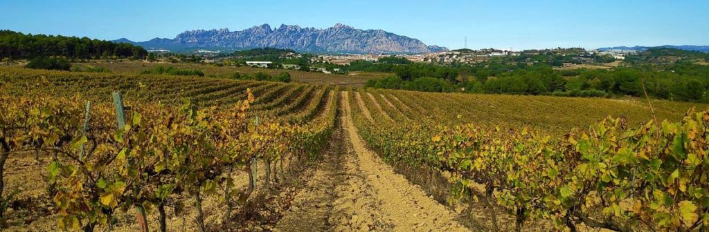 Colors de tardor - Homeliers