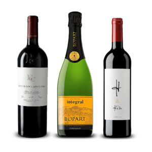 Pack all you need is wine