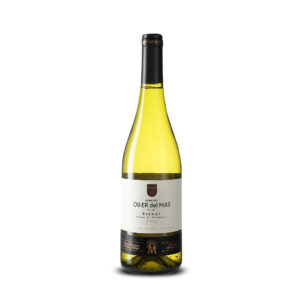 OLLER DEL MAS BLANC DE PICAPOLLS